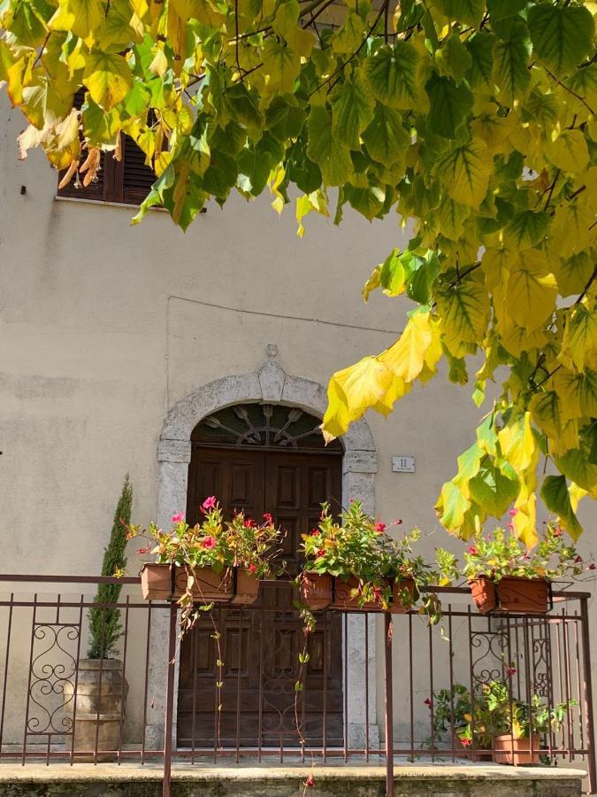 Amiter Apartment