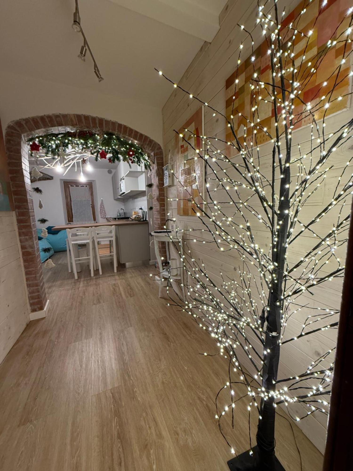 Apartment Amiter